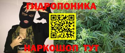 мяу мяу мука Партизанск