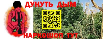 трава Пенза