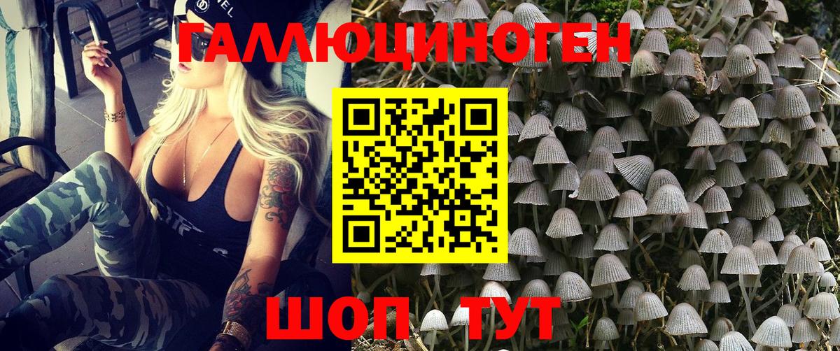 Тихвин  Галлюциногенные грибы мицелий  Вход с VPN 